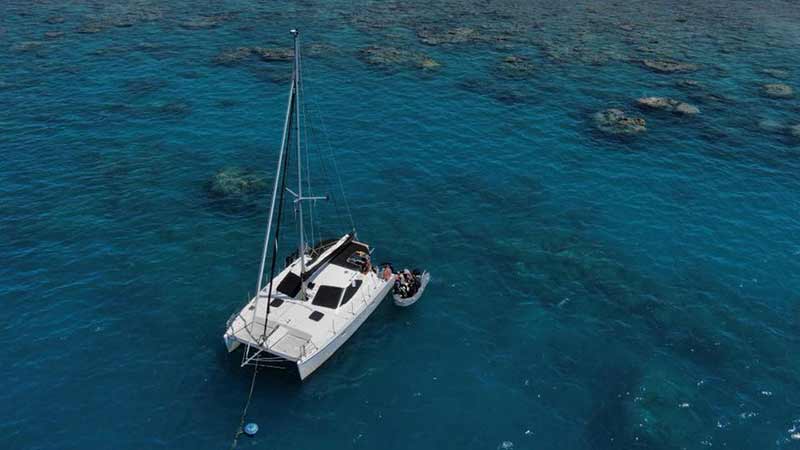 diving day tours from airlie beach