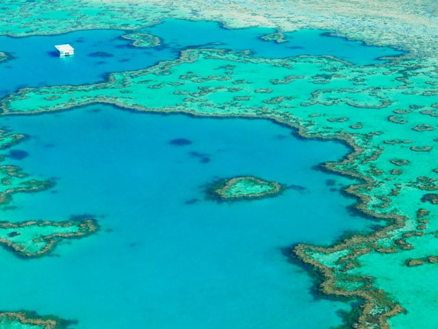 Heart reef from above in the whitsundays reef